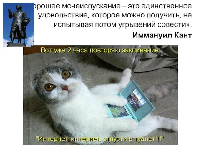 «Хорошее мочеиспускание – это единственное удовольствие, которое можно получить, не испытывая потом угрызений совести». Иммануил Кант