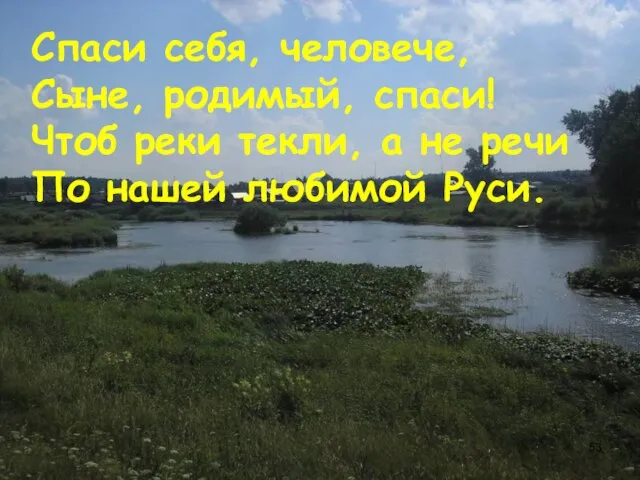 Спаси себя, человече, Сыне, родимый, спаси! Чтоб реки текли, а не речи По нашей любимой Руси.