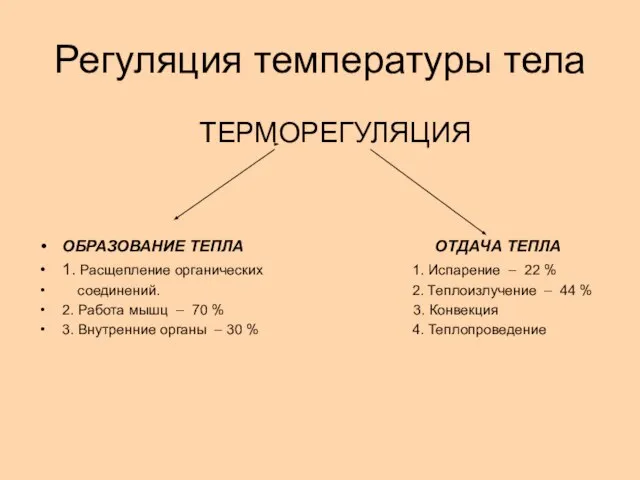 Регуляция температуры тела ТЕРМОРЕГУЛЯЦИЯ ОБРАЗОВАНИЕ ТЕПЛА ОТДАЧА ТЕПЛА 1. Расщепление органических 1.