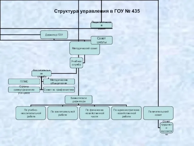 Структура управления в ГОУ № 435