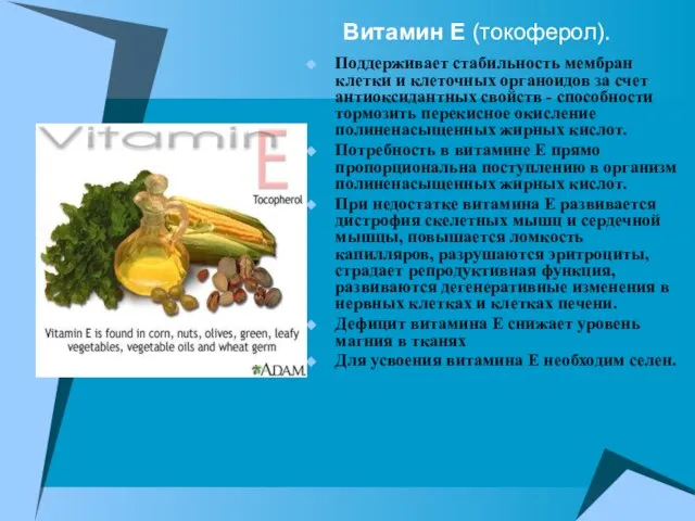 Витамин Е (токоферол). Поддерживает стабильность мембран клетки и клеточных органоидов за счет