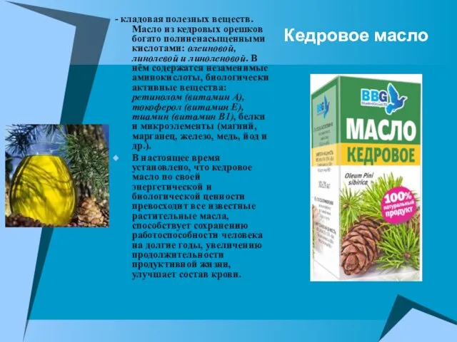 Кедровое масло - кладовая полезных веществ. Масло из кедровых орешков богато полиненасыщенными