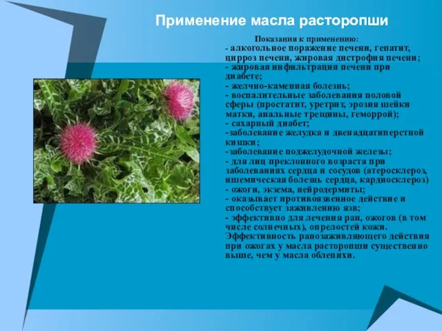 Применение масла расторопши Показания к применению: - алкогольное поражение печени, гепатит, цирроз