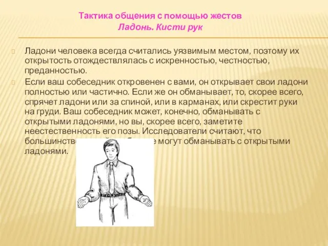 Тактика общения с помощью жестов Ладонь. Кисти рук Ладони человека всегда считались