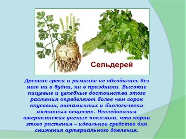 Древние греки и римляне не обходились без него ни в будни, ни