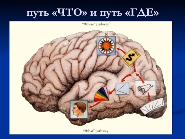 путь «ЧТО» и путь «ГДЕ»