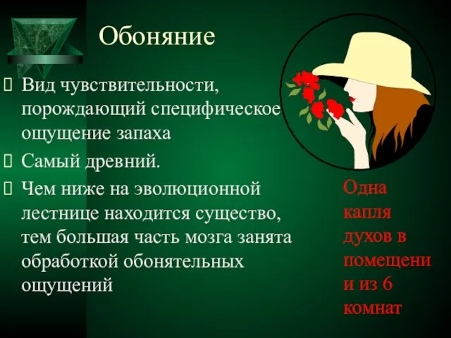 Обоняние Вид чувствительности, порождающий специфическое ощущение запаха Самый древний. Чем ниже на