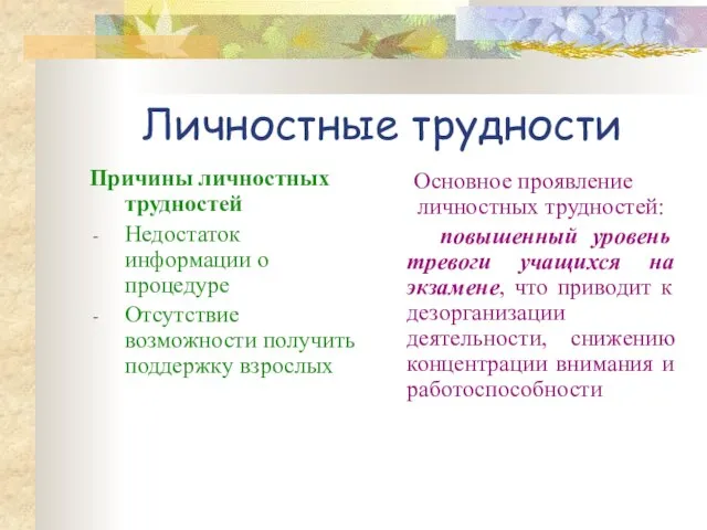 Личностные трудности Причины личностных трудностей Недостаток информации о процедуре Отсутствие возможности получить