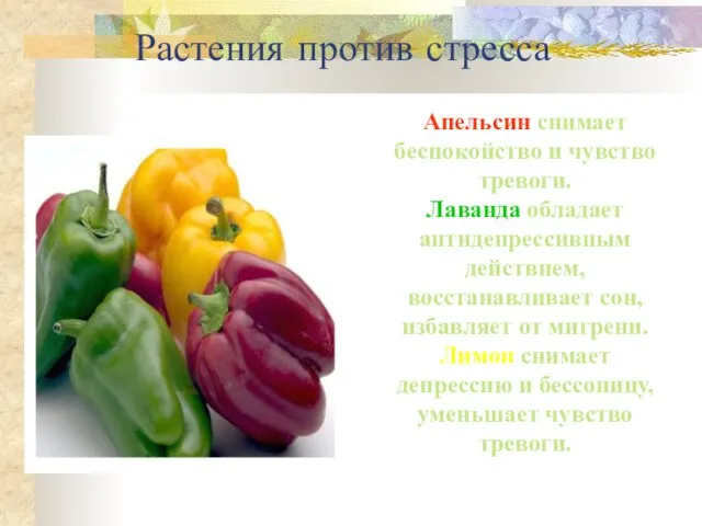 Растения против стресса Апельсин снимает беспокойство и чувство тревоги. Лаванда обладает антидепрессивным