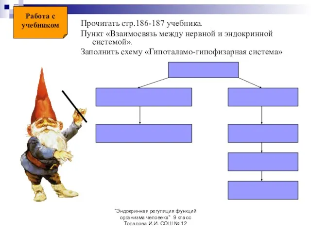 "Эндокринная регуляция функций организма человека" 9 класс Топалова И.И. СОШ № 12