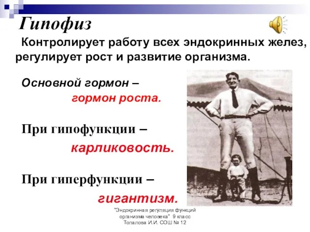 "Эндокринная регуляция функций организма человека" 9 класс Топалова И.И. СОШ № 12