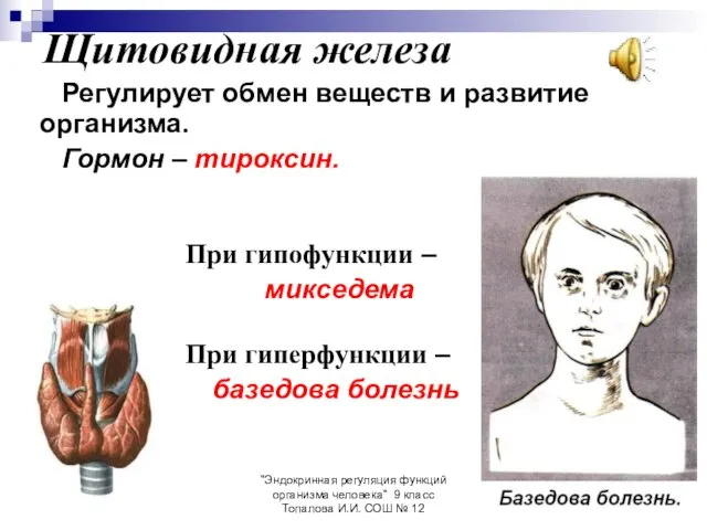 "Эндокринная регуляция функций организма человека" 9 класс Топалова И.И. СОШ № 12