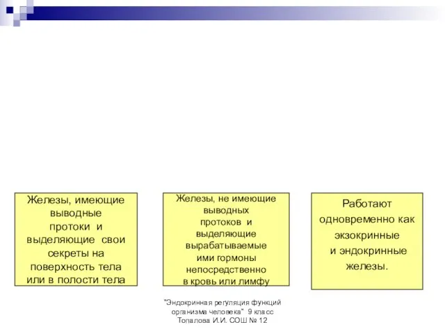 "Эндокринная регуляция функций организма человека" 9 класс Топалова И.И. СОШ № 12