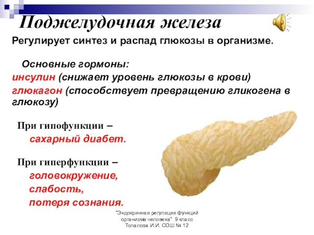 "Эндокринная регуляция функций организма человека" 9 класс Топалова И.И. СОШ № 12