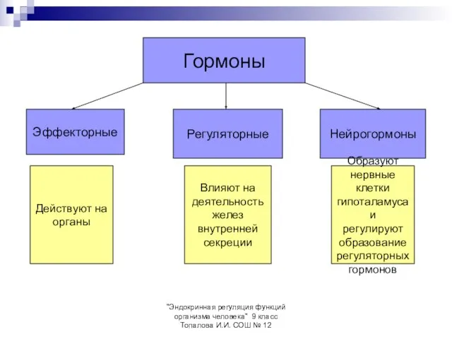 "Эндокринная регуляция функций организма человека" 9 класс Топалова И.И. СОШ № 12