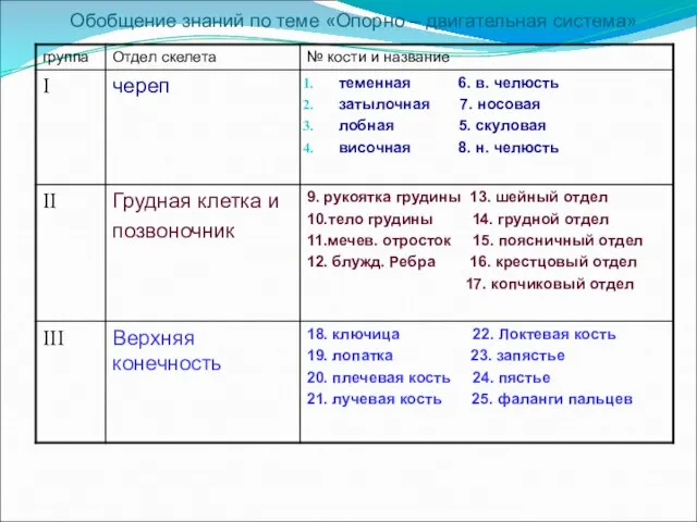 Обобщение знаний по теме «Опорно – двигательная система»