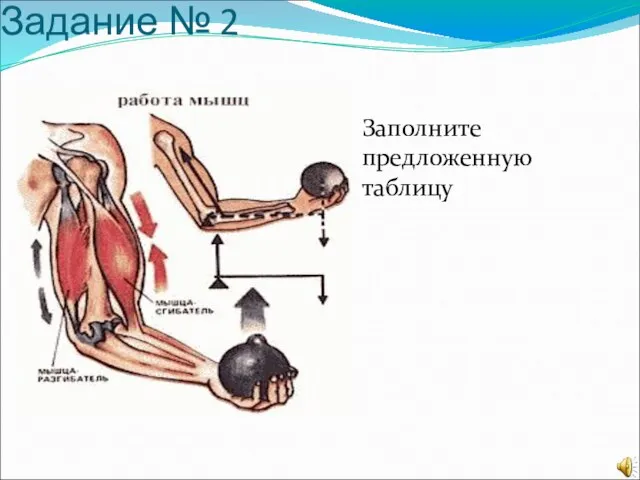 Задание № 2 Заполните предложенную таблицу