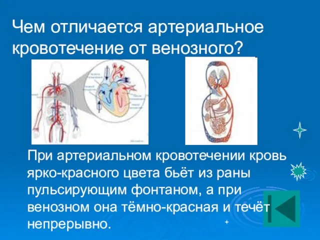 Чем отличается артериальное кровотечение от венозного? При артериальном кровотечении кровь ярко-красного цвета