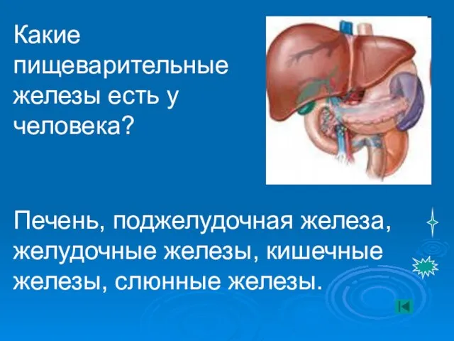 Какие пищеварительные железы есть у человека? Печень, поджелудочная железа, желудочные железы, кишечные железы, слюнные железы.