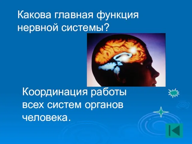 Какова главная функция нервной системы? Координация работы всех систем органов человека.