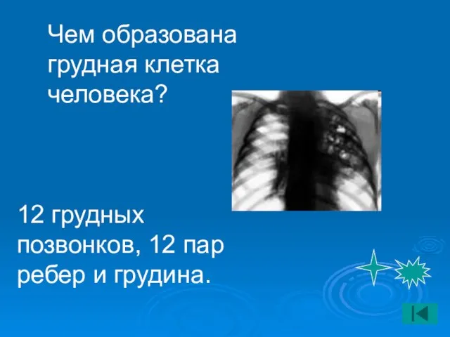 Чем образована грудная клетка человека? 12 грудных позвонков, 12 пар ребер и грудина.