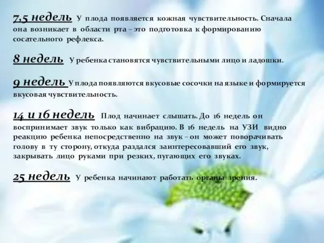 7,5 недель У плода появляется кожная чувствительность. Сначала она возникает в области