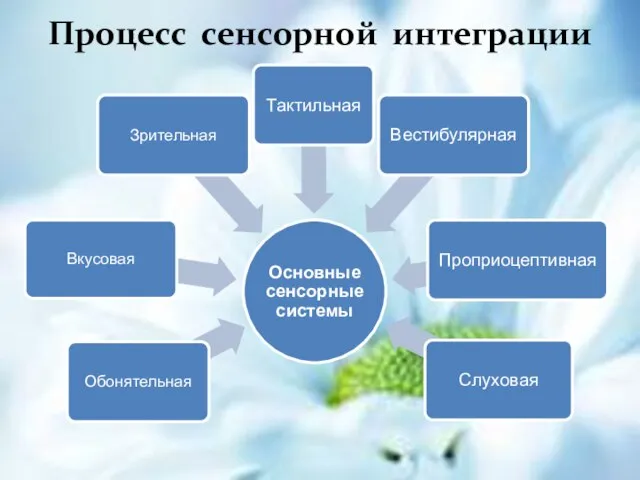 Процесс сенсорной интеграции