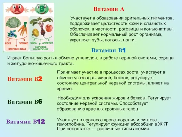 Необходим для усвоения жиров и белков. Регулирует состояние нервной системы. Способствует образованию