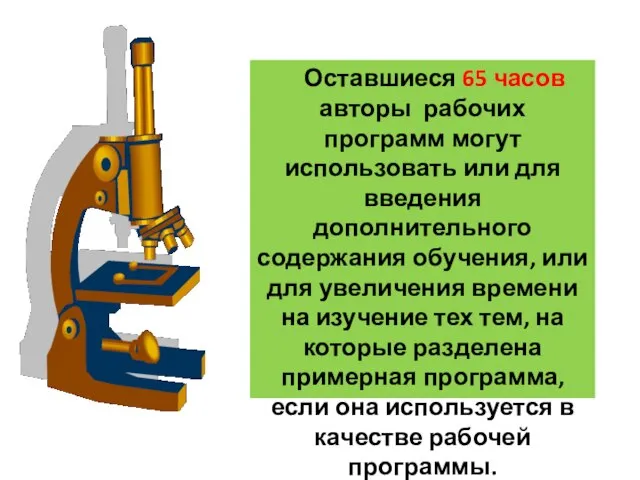 Оставшиеся 65 часов авторы рабочих программ могут использовать или для введения дополнительного