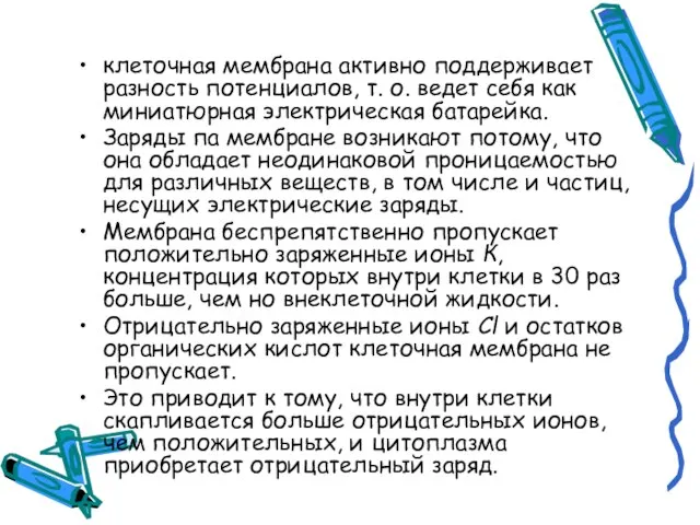 клеточная мембрана активно поддерживает разность потенциалов, т. о. ведет себя как миниатюрная