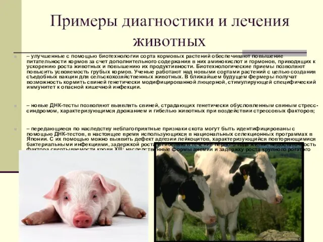 Примеры диагностики и лечения животных – улучшенные с помощью биотехнологии сорта кормовых
