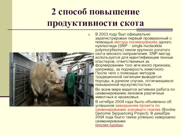 2 способ повышение продуктивности скота В 2003 году был официально зарегистрирован первый