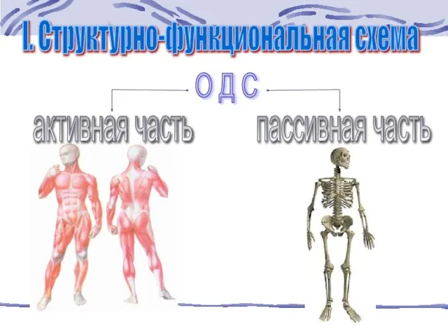 О Д С активная часть пассивная часть I. Структурно-функциональная схема