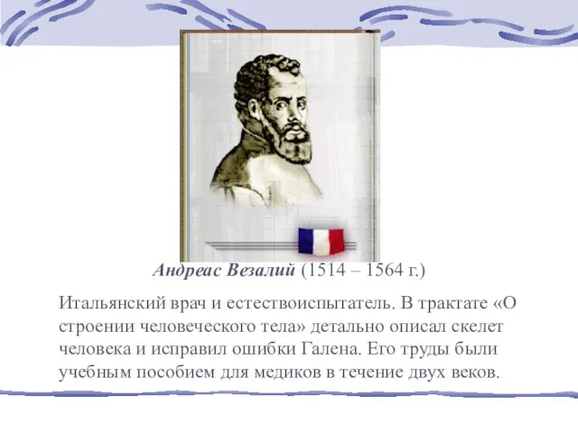 Андреас Везалий (1514 – 1564 г.) Итальянский врач и естествоиспытатель. В трактате