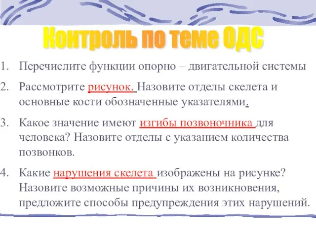 Контроль по теме ОДС Перечислите функции опорно – двигательной системы Рассмотрите рисунок.