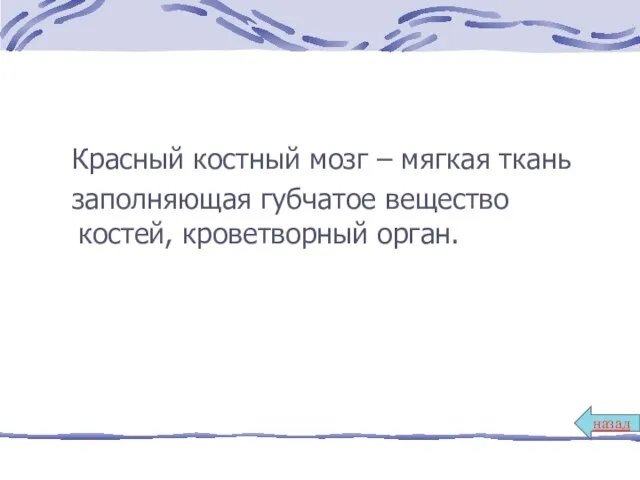 Красный костный мозг – мягкая ткань заполняющая губчатое вещество костей, кроветворный орган. назад