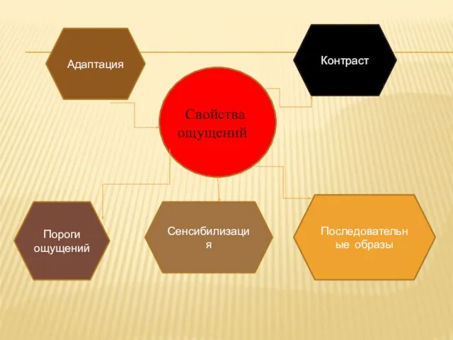 Свойства ощущений Адаптация Контраст Последовательные образы Сенсибилизация Пороги ощущений