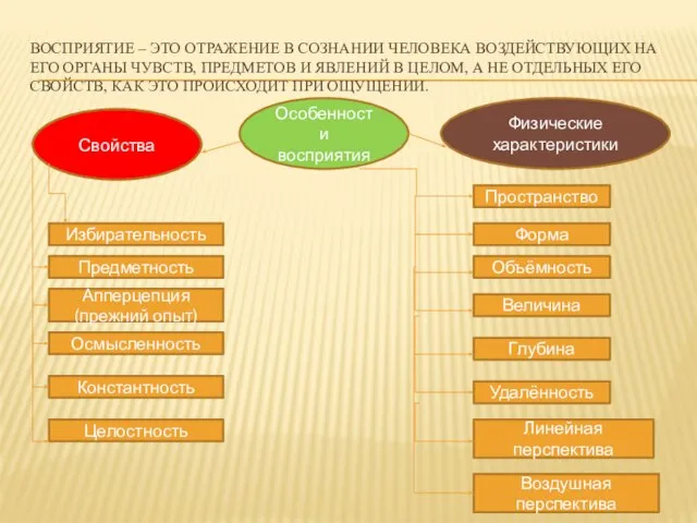 ВОСПРИЯТИЕ – ЭТО ОТРАЖЕНИЕ В СОЗНАНИИ ЧЕЛОВЕКА ВОЗДЕЙСТВУЮЩИХ НА ЕГО ОРГАНЫ ЧУВСТВ,