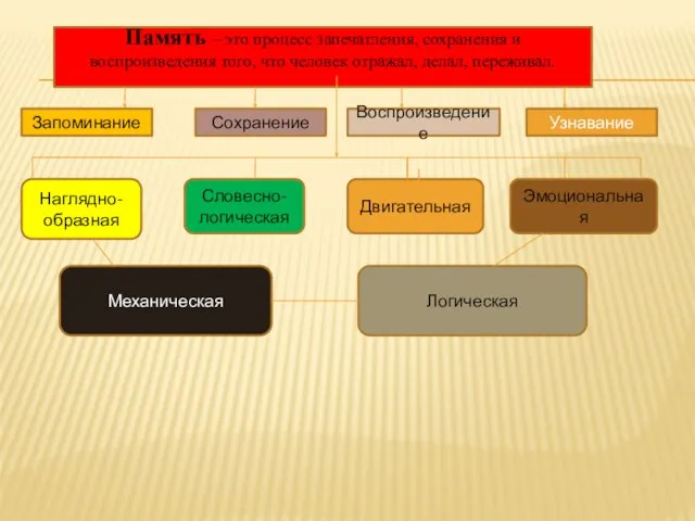 Память – это процесс запечатления, сохранения и воспроизведения того, что человек отражал,