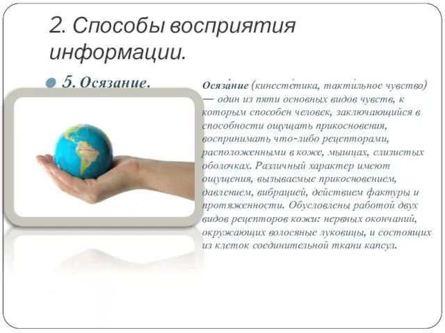 2. Способы восприятия информации. 5. Осязание. Осяза́ние (кинесте́тика, такти́льное чувство) — один