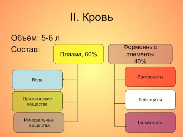 II. Кровь Объём: 5-6 л Состав: Плазма, 60% Форменные элементы 40% Вода