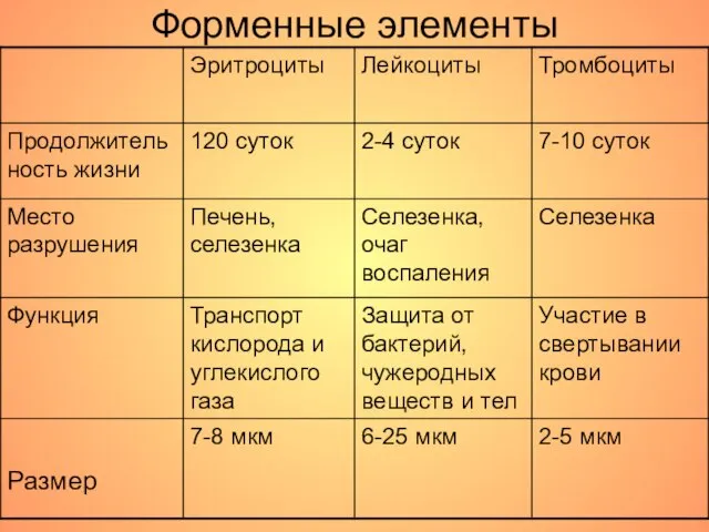 Форменные элементы