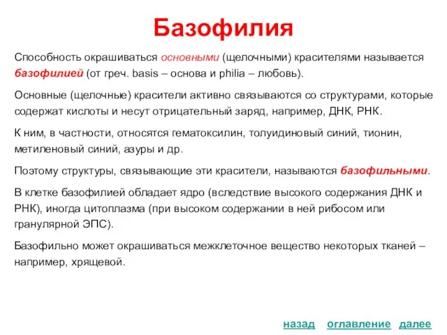 Базофилия Способность окрашиваться основными (щелочными) красителями называется базофилией (от греч. basis –