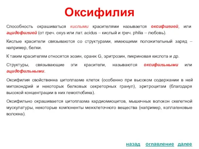 Оксифилия Способность окрашиваться кислыми красителями называется оксифилией, или ацидофилией (от греч. oxys