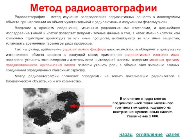 Метод радиоавтографии назад Радиоавтография - метод изучения распределения радиоактивных веществ в исследуемом