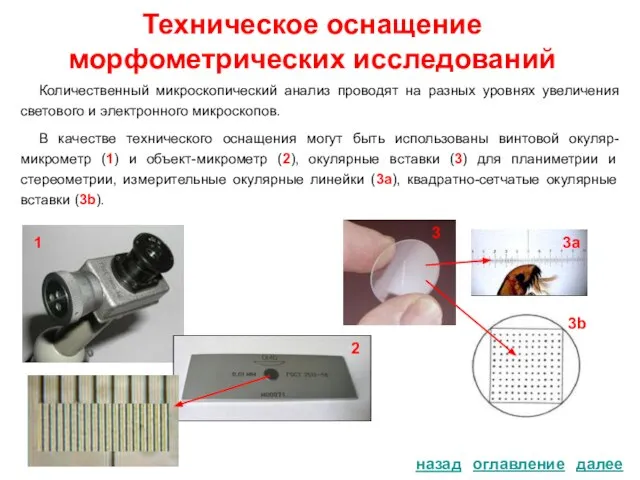 Техническое оснащение морфометрических исследований Количественный микроскопический анализ проводят на разных уровнях увеличения