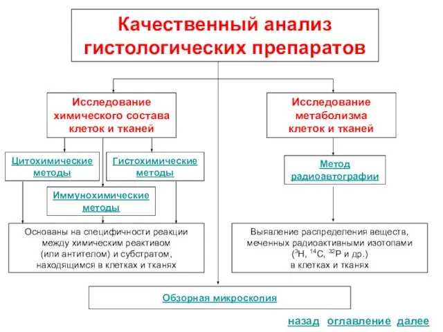 Качественный анализ гистологических препаратов оглавление Обзорная микроскопия Исследование химического состава клеток и