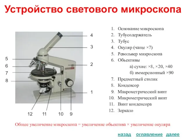 Устройство светового микроскопа Основание микроскопа Тубусодержатель Тубус Окуляр (чаще ×7) Револьвер микроскопа