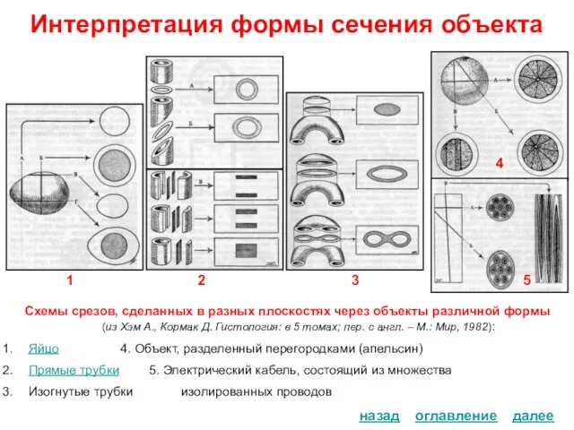 Интерпретация формы сечения объекта Схемы срезов, сделанных в разных плоскостях через объекты