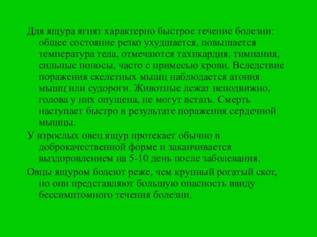 Для ящура ягнят характерно быстрое течение болезни: общее состояние резко ухудшается, повышается